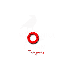 Logo fotografa z Krakowa. Monika Cyran fotograf.